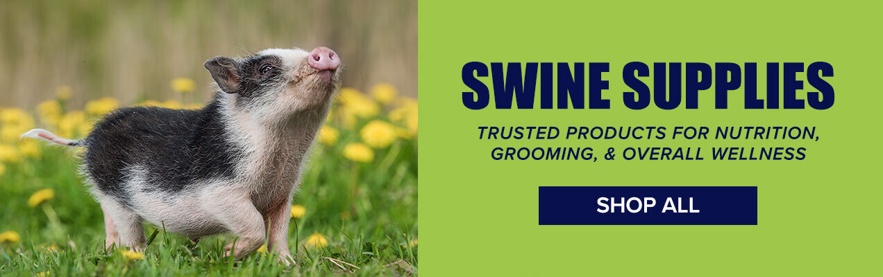 Swine Supplies: Trusted Products for Nutrition, Grooming & Overall Health